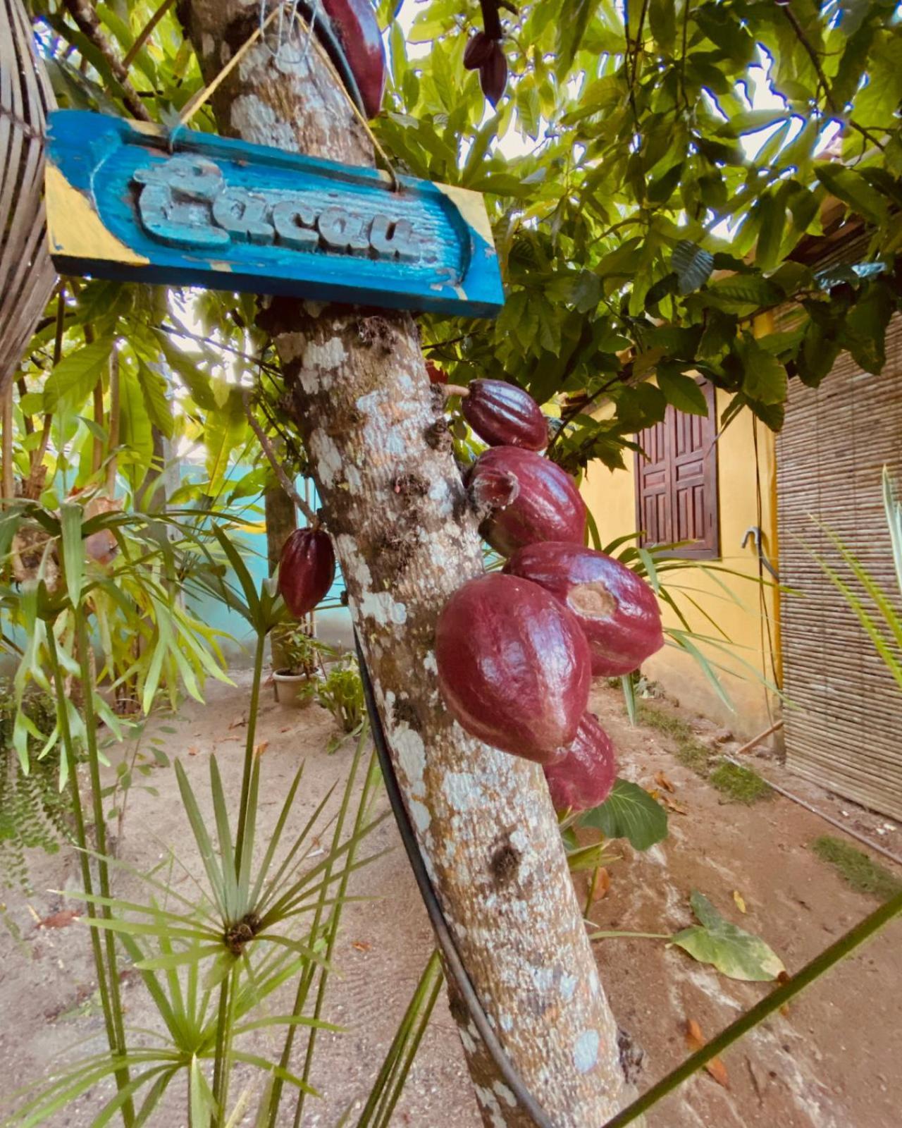 Caraiva Recanto Pousada De Ferias エクステリア 写真